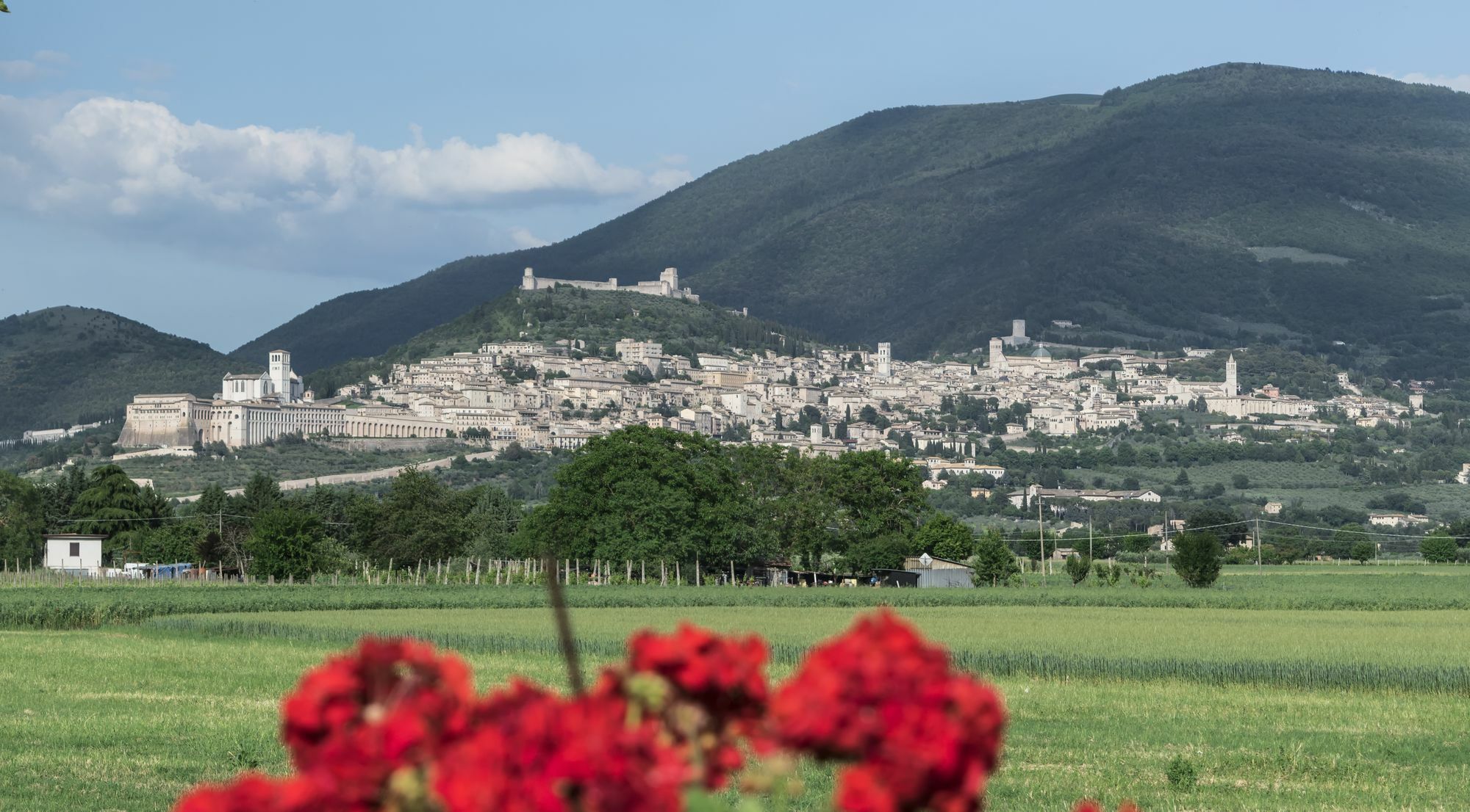 Camere Mariella Assisi Exterior photo